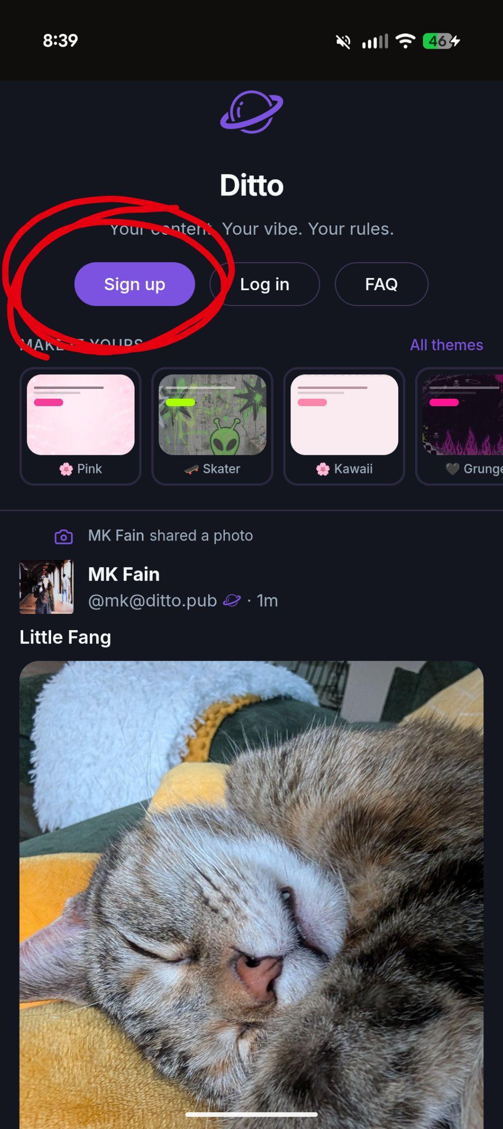 Ditto Nostr client homepage on ditto.pub — Sign up button to create a free Nostr account