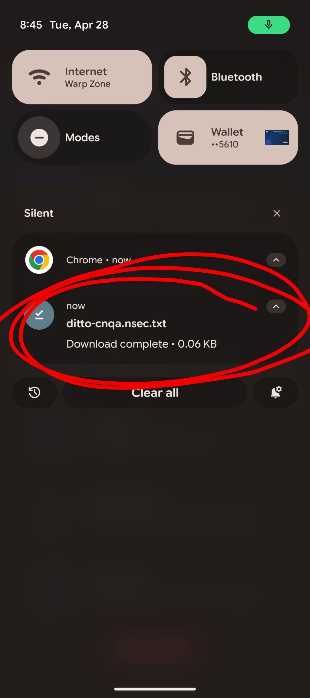 Android download notification showing a Ditto nsec .txt file saved successfully — back up your Nostr secret key before logging in to Divine