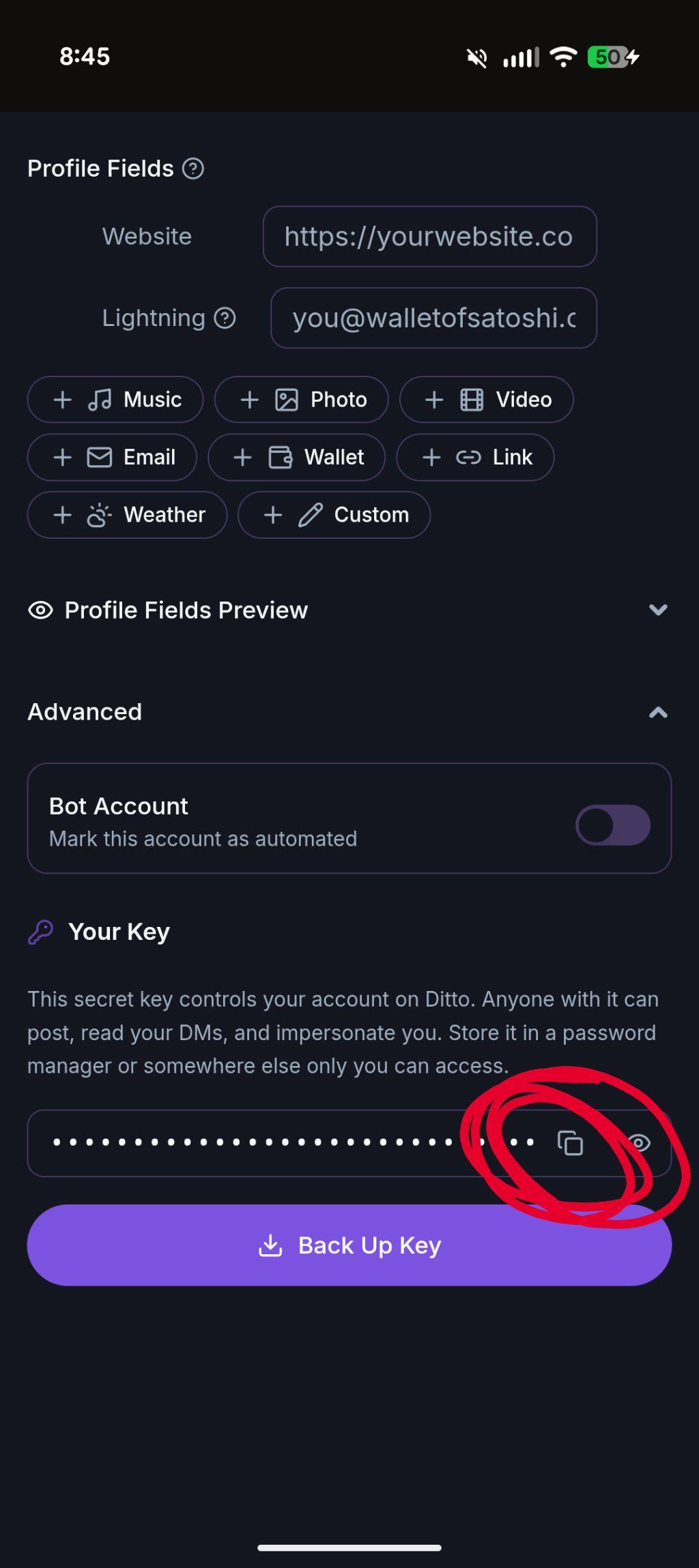 Ditto Advanced Profile Settings screen showing Your Key with copy icon and Back Up Key button to retrieve your nsec for Divine login