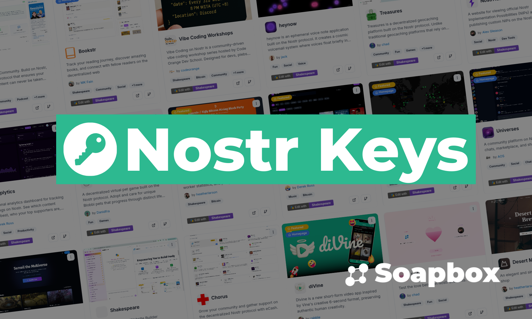 How to Store and Manage Your Nostr Private Key (nsec)
