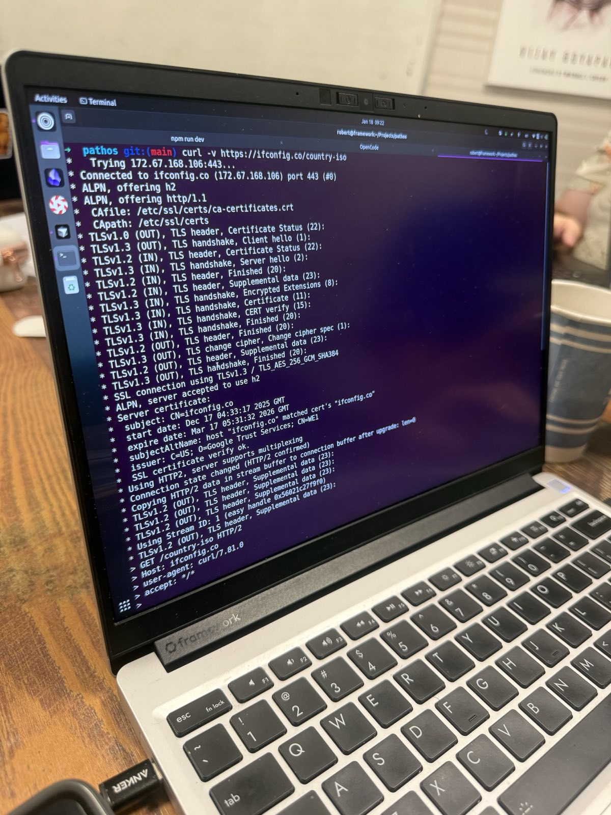 Laptop showing terminal with Pathos development environment running