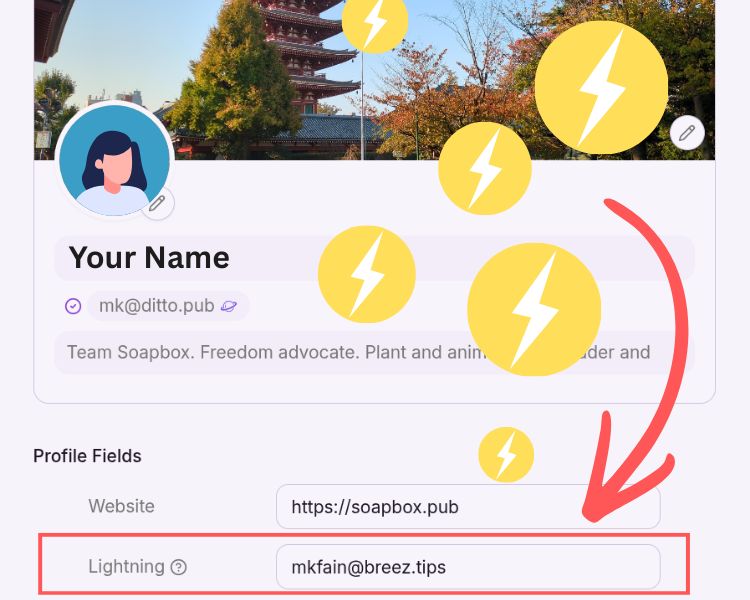 Edit Profile in Ditto showing the Lightning address field filled in with mkfain@breez.tips